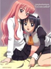 Le beau maitre 1 (Zero no Tsukaima)