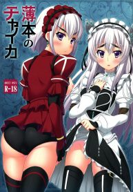 Usui Hon no Chaika Thin book of Chaika (Hitsugi no Chaika)