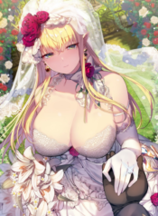 Slave Knight of the Elf