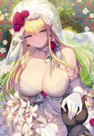 Slave Knight of the Elf