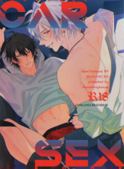 Icha Love Car Sex Book