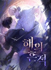 A Trace of The Wonder