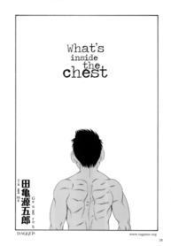 What's inside the chest